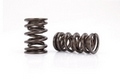 Valve Springs & Components